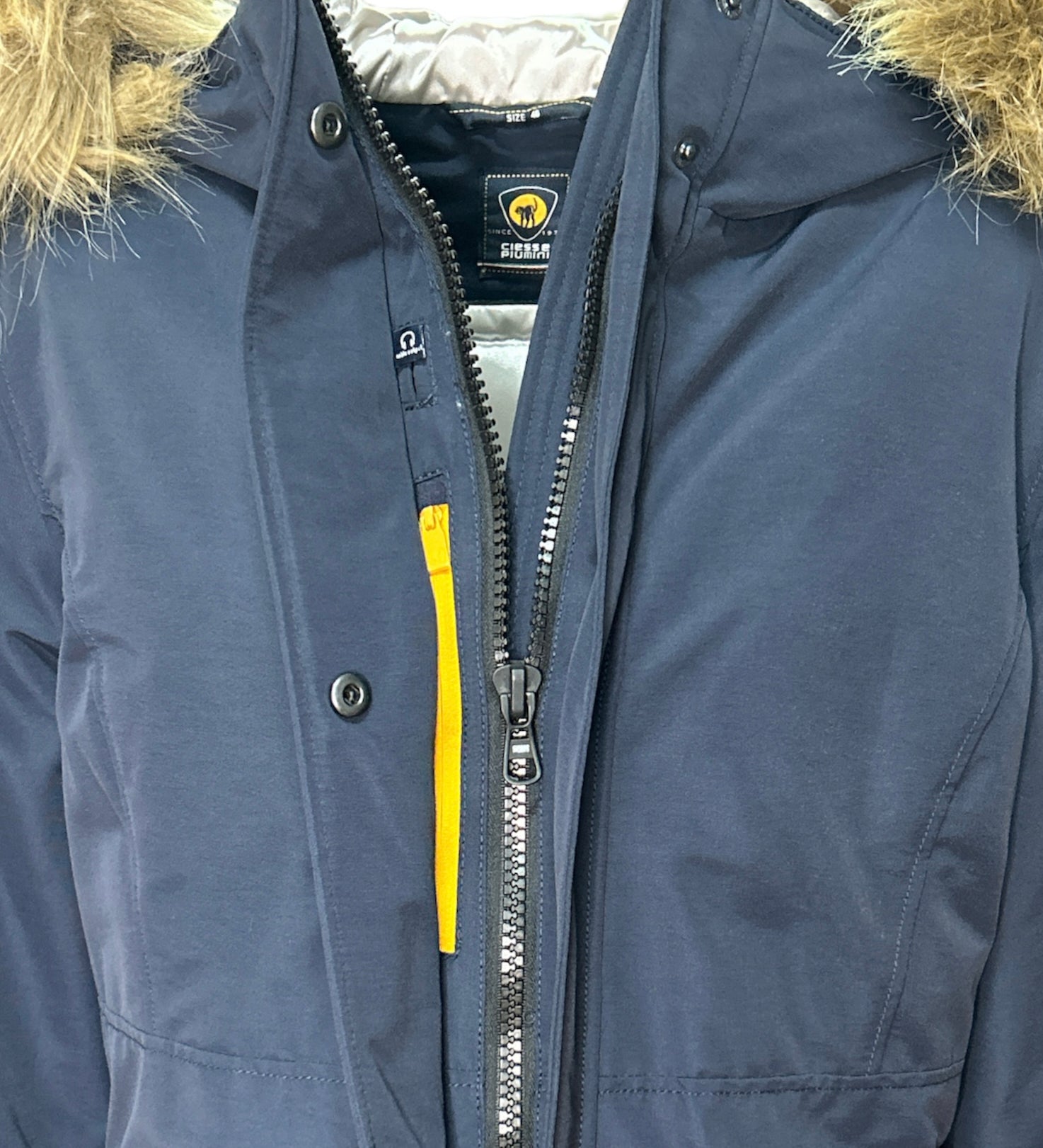 6550892c25434.jpg