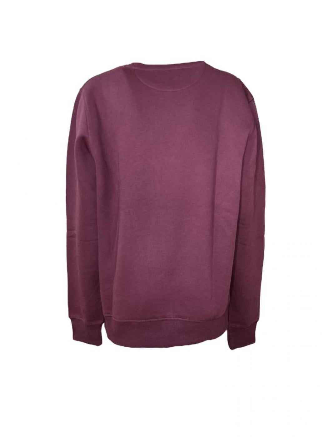 felpa Uomo  2046040 gant