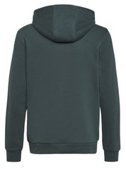 Felpa Bambino unisex adidas originals h0270_trafoil_hoodie_verde