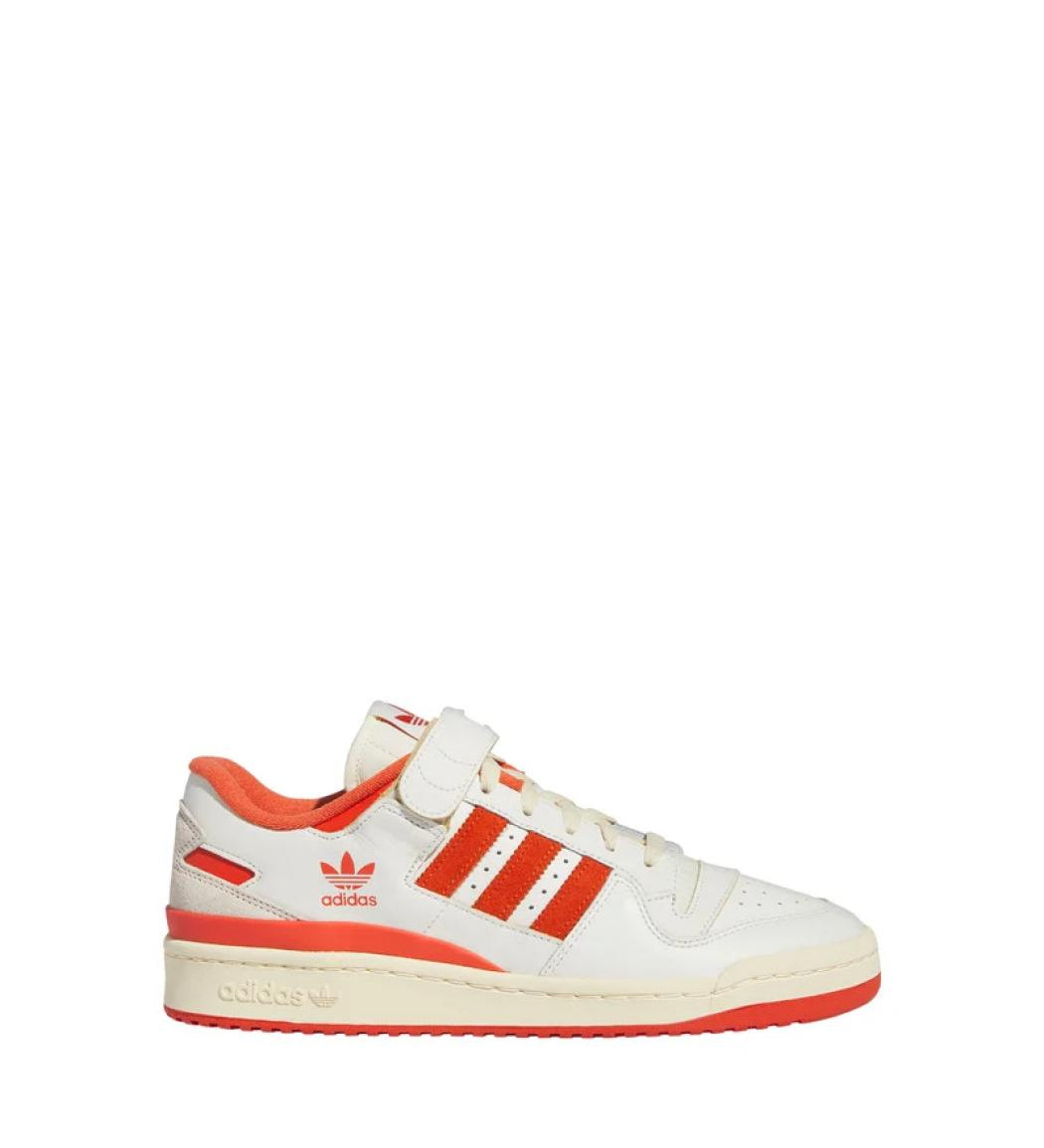 66ee97d91bcce.jpg