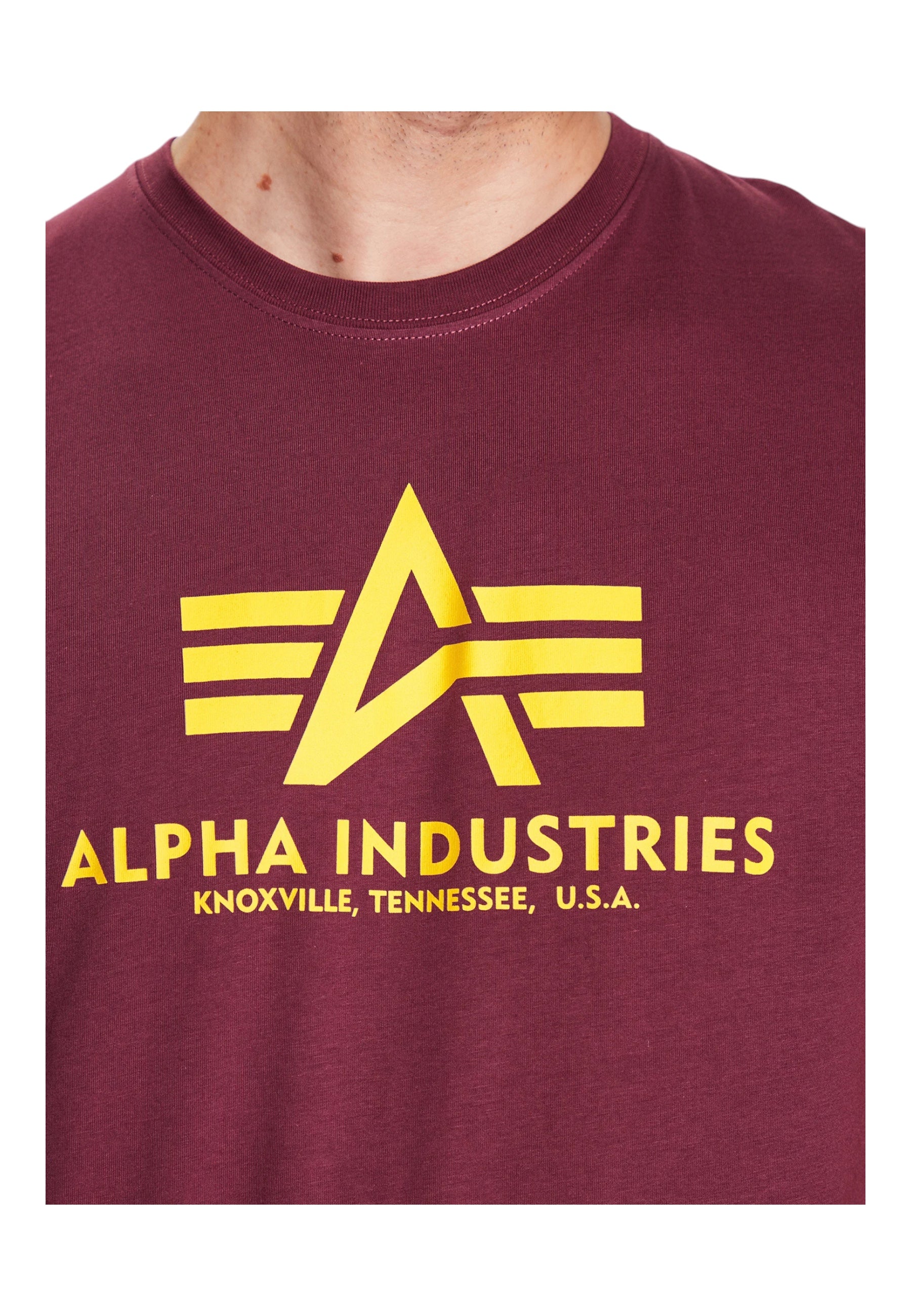 T-shirt Uomo Alpha Industries 2 pack Regular Fit