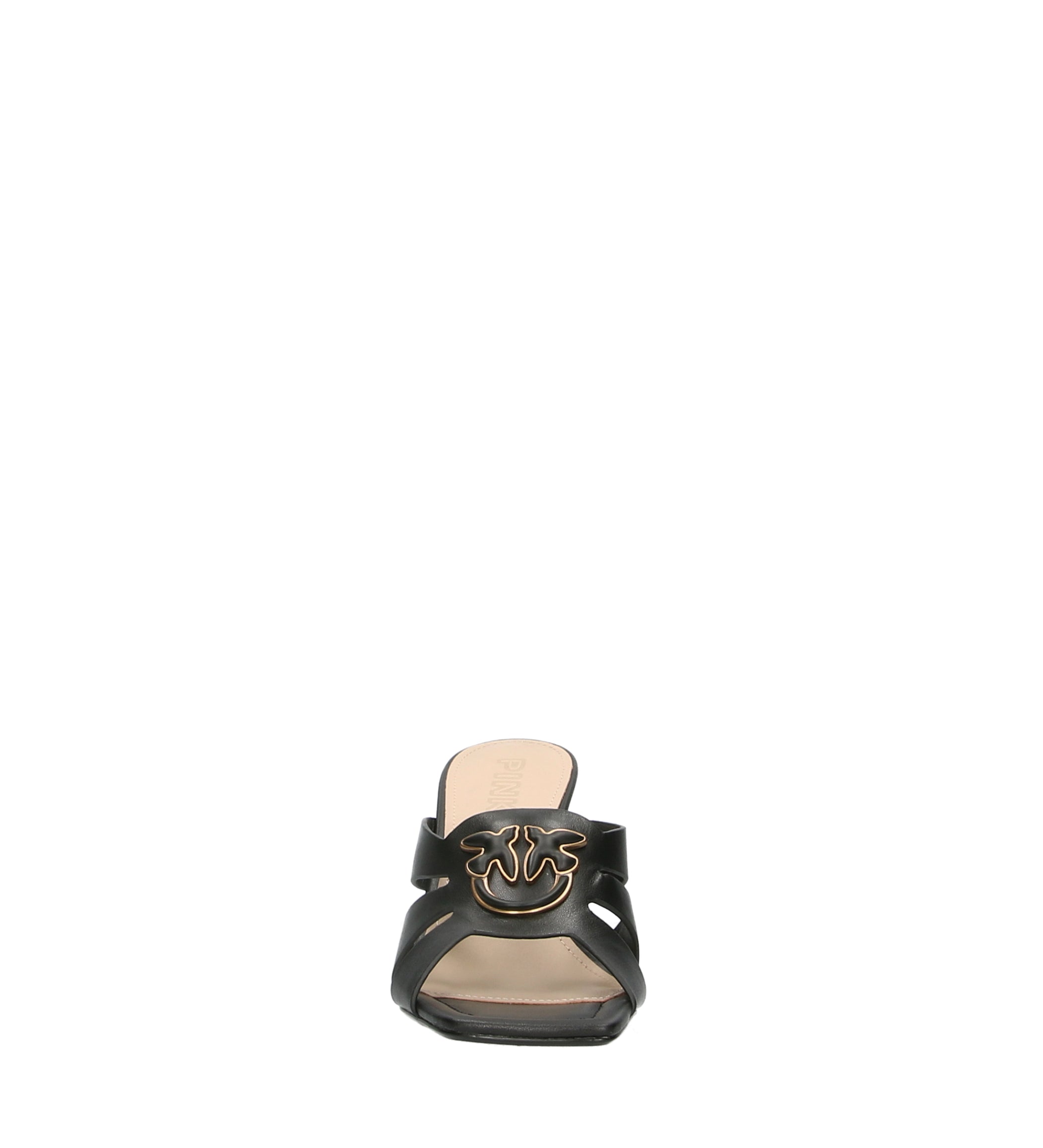 6841b62fea42c.jpg