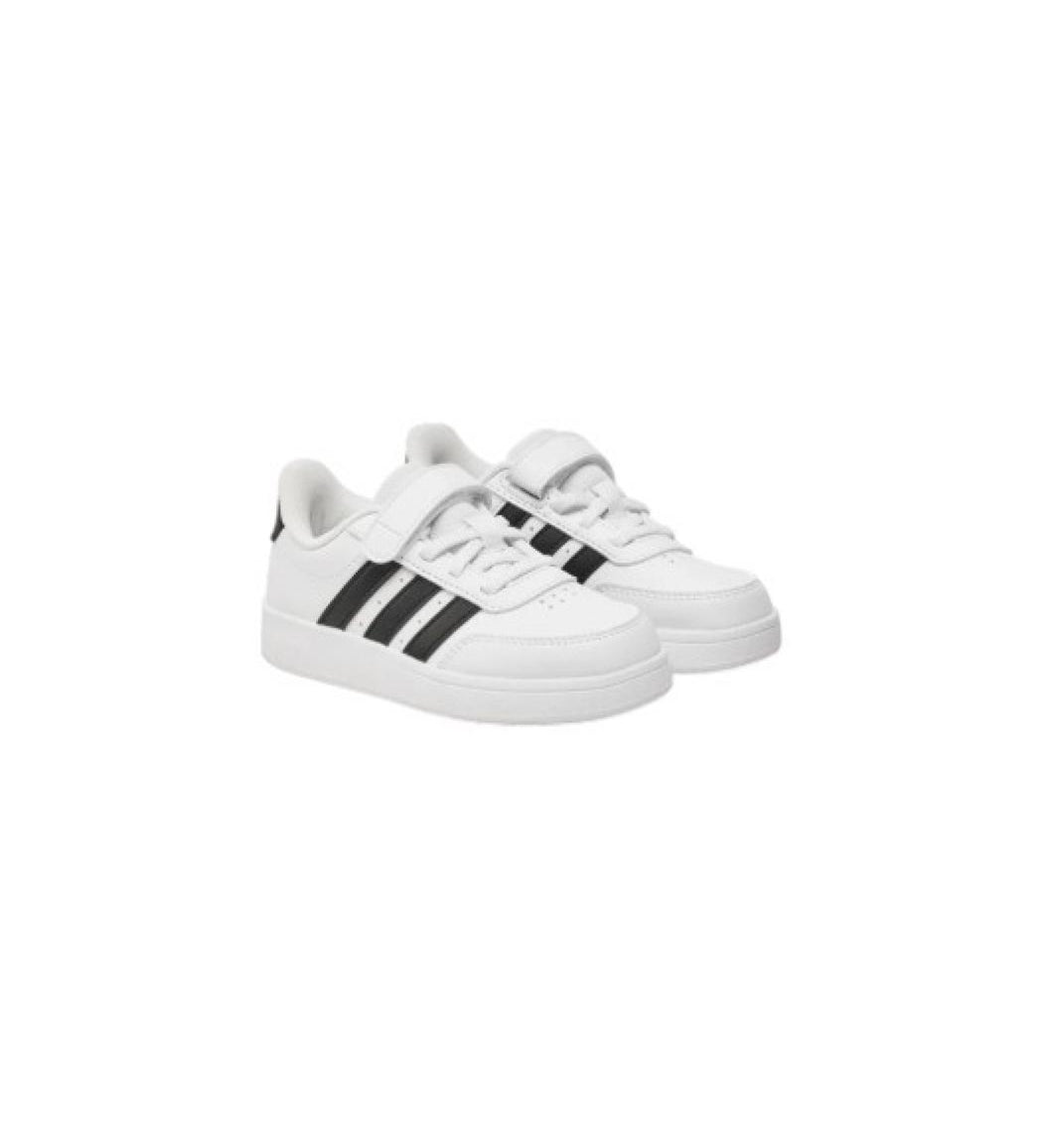 6888ec6ed5385.jpg