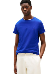 T-shirt Uomo Tommy Hilfiger MW0MW10800 D03