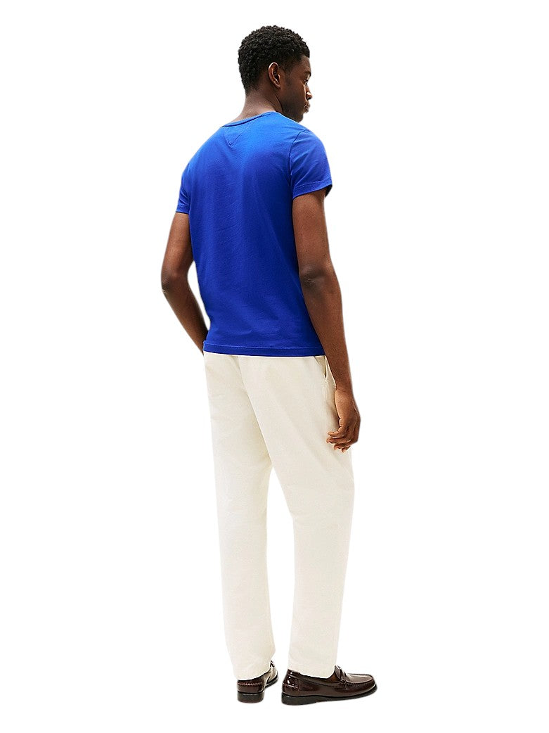 T-shirt Uomo Tommy Hilfiger MW0MW10800 D03
