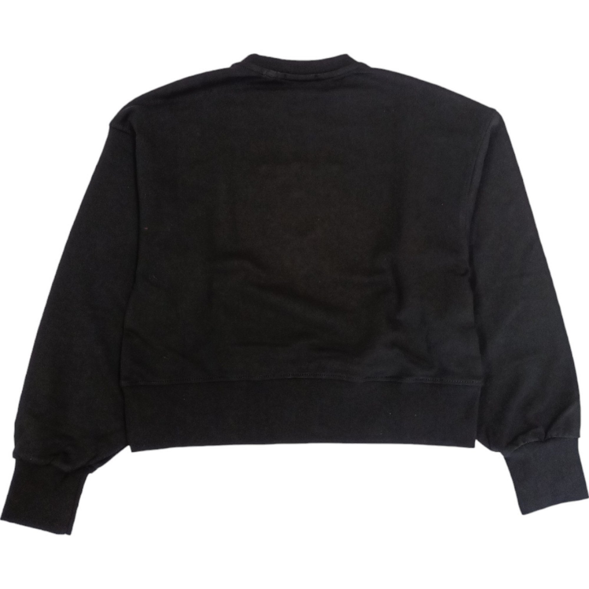 Pinko - Felpa Nera Logo Argento S4PIJGSW057