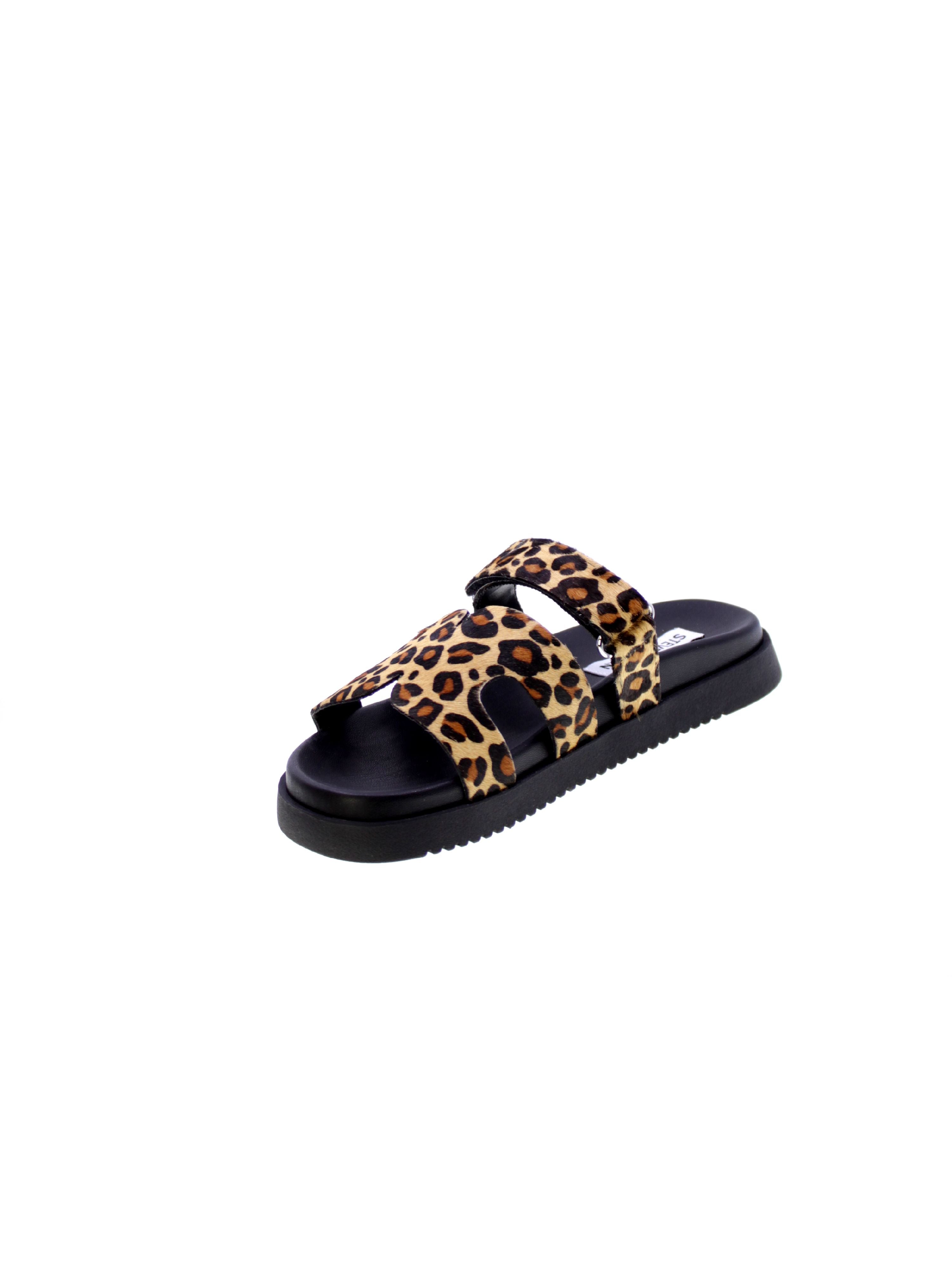 Steve madden Sandalo Mules Donna Leopardato Smsmissile/l969